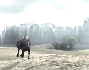 Shadow of the Colossus [PlayStation 2]