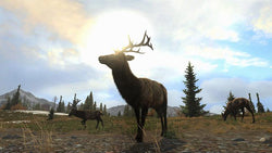Cabela's Big Game Hunter: Pro Hunts [PlayStation 3]