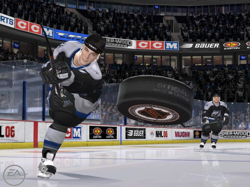 NHL 06 [PlayStation 2]