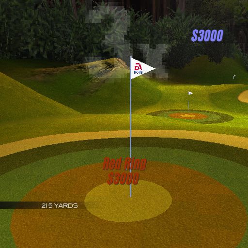 Tiger Woods PGA Tour 2004 [PlayStation 2]