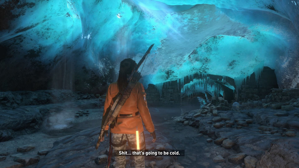 Rise of the Tomb Raider: 20 Year Celebration [PlayStation 4]